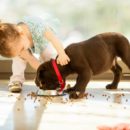 Toddlers & Dogs: Building Trust & Respect
